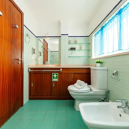 B28 - Stylish Typical House
